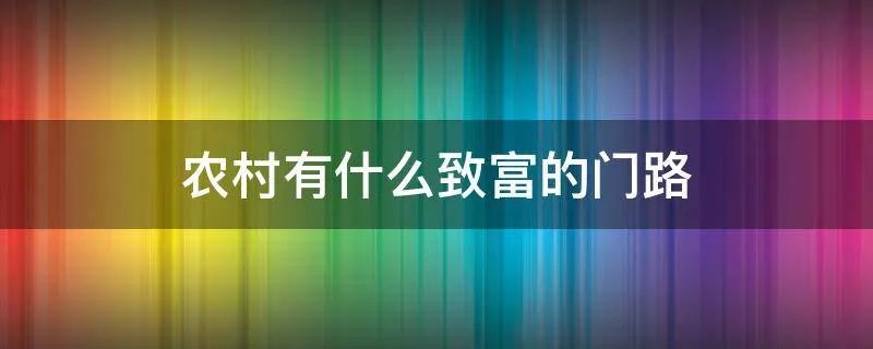 农村有什么致富的门路
