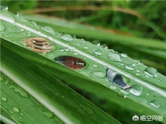 阴雨天如何拍出好照片?