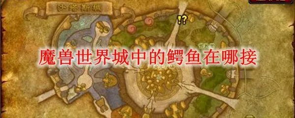 魔兽世界城中的鳄鱼在哪接