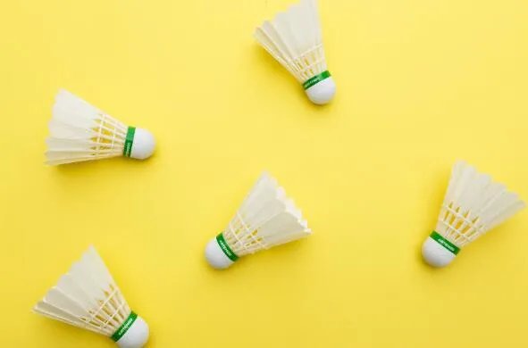 羽毛球大多是什么羽毛制成的 羽毛球的羽毛材料一般是什么毛