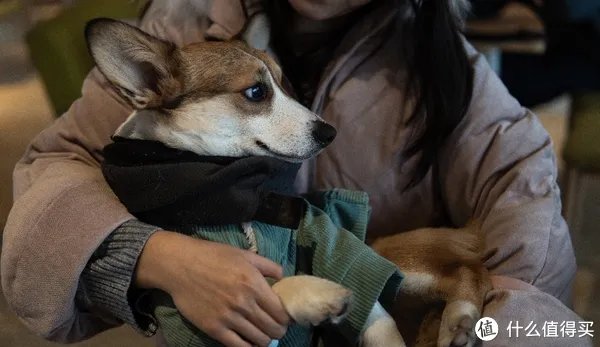 a6400开箱与三天使用体验 「多图预警!」