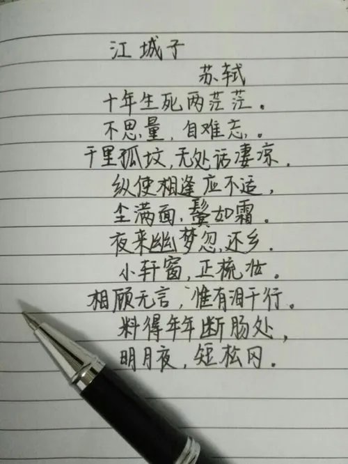 十年生死两茫茫 不思量自难忘的意思是什么？