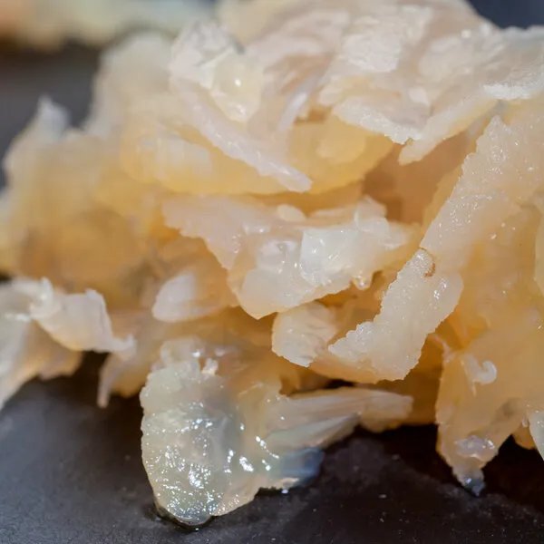 海蜇丝是人造的吗