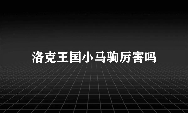 洛克王国小马驹厉害吗