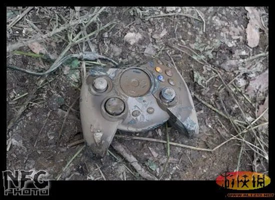 百年洪水来袭 澳洲玩家藏品惨遭洪水蹂躏(图)