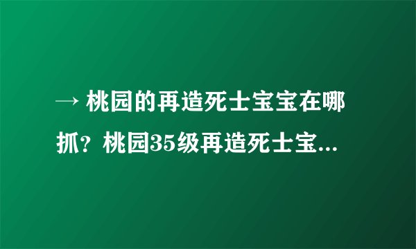 → 桃园的再造死士宝宝在哪抓？桃园35级再造死士宝宝刷点图