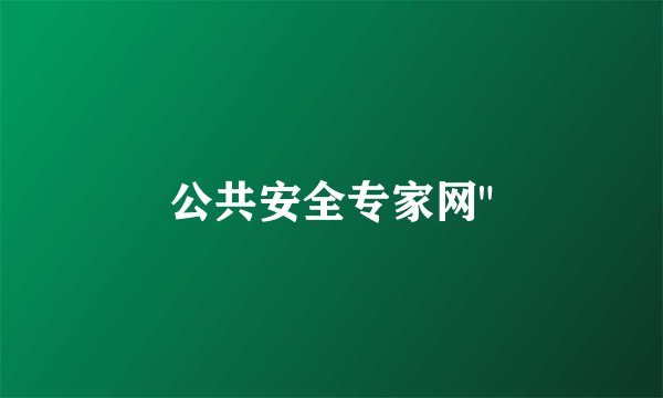 公共安全专家网
