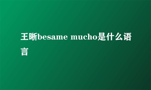 王晰besame mucho是什么语言