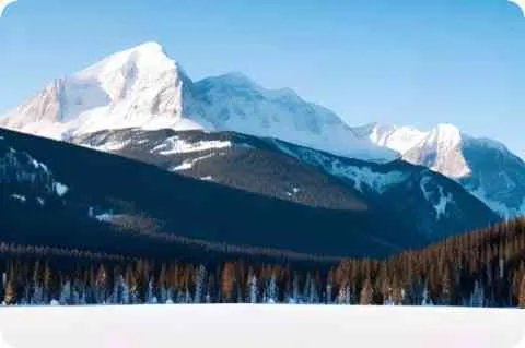 克里斯蒂娜·圭密详细资料大全