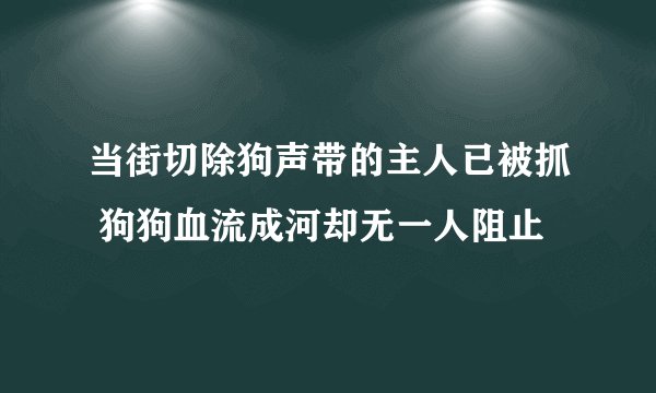 当街切除狗声带的主人已被抓 狗狗血流成河却无一人阻止