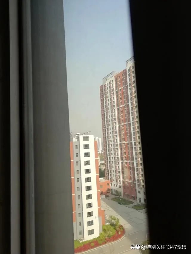 小珠山大火会影响动物园吗?经过一晚上的灭火什么进展了?