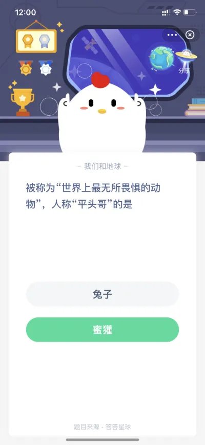 被称为世界上最无所畏惧的动物 人称平头哥的是