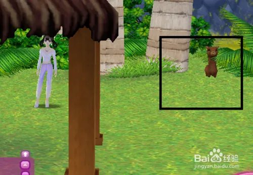 qq炫舞里神兽萌萌在哪里