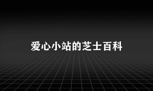 爱心小站的芝士百科