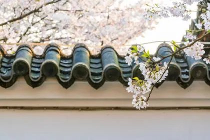 2020年2月4日立春是农历几月几日？2020年2月4日立春时间