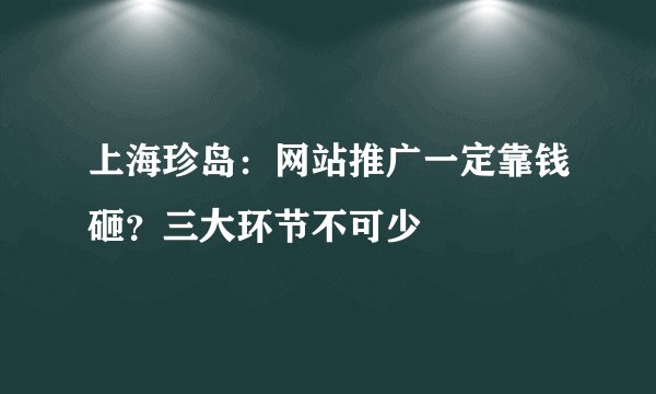 上海珍岛：网站推广一定靠钱砸？三大环节不可少