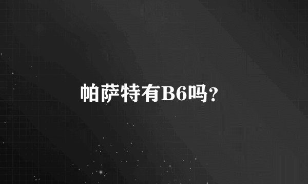 帕萨特有B6吗？