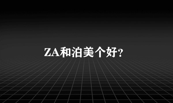 ZA和泊美个好？