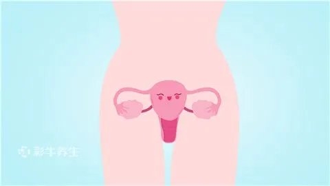 附件炎吃什么药最管用