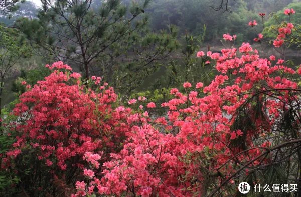 武汉周边自驾游去哪里好玩，经典自驾游一日游攻略！