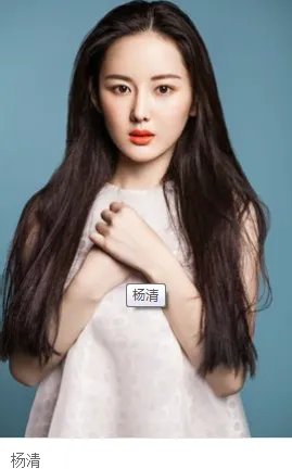 边关烽火情里的高家安是谁扮演的