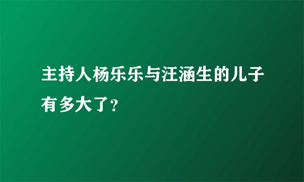 主持人杨乐乐与汪涵生的儿子有多大了？