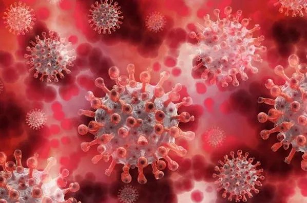 奥密克戎疫苗临床首针完成接种,该疫苗的防御效果有多强?