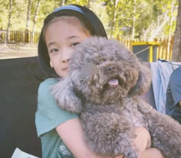 梅婷晒儿女露营正面照，女儿快快漂亮像妈妈，生活中的梅婷是个怎样的人？