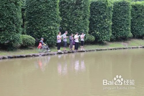 深圳仙湖植物园旅游攻略