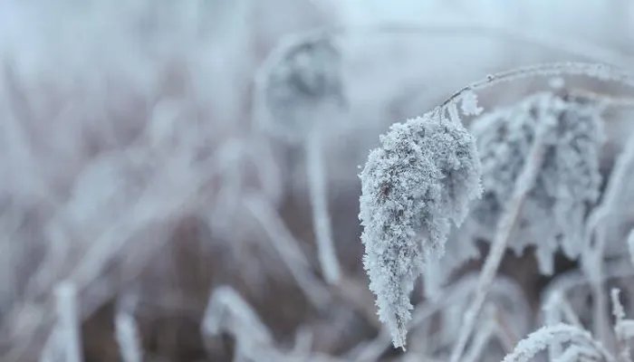 寒潮为啥总爱周末来 寒潮来袭有什么时间规律吗