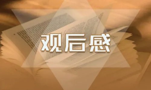 观看2020“全国中小学生消防公开课”观后感心得作文5篇