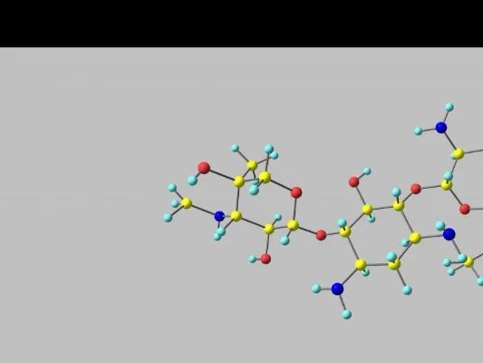 氨基酸功效与作用