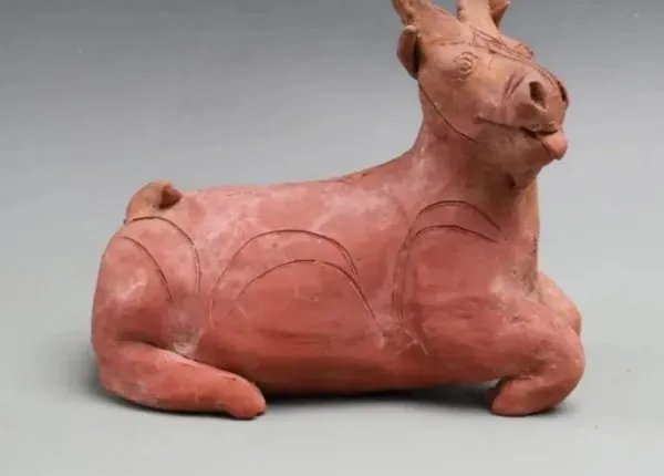 广州一中学发现125座古墓,这些墓都是哪个年代的?