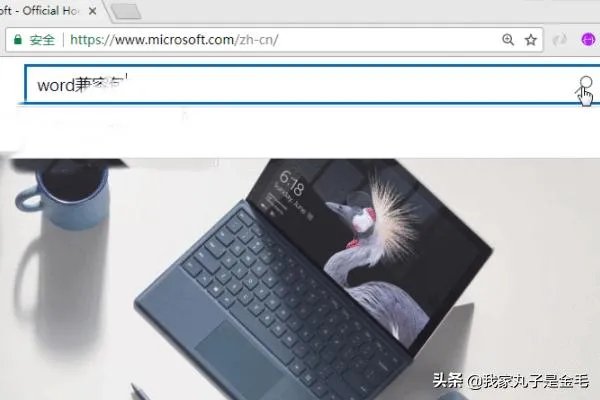 Word如何下载Word2003/2007/2010/2013兼容包？