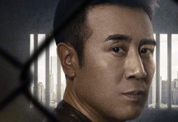 巡回检查组有第二部吗