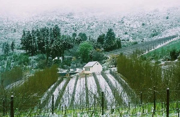 南非有那些葡萄酒酒庄？