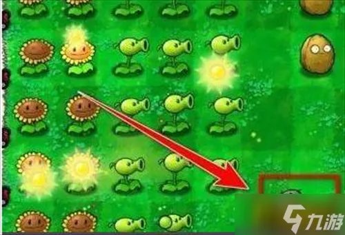 《植物大战僵尸》秘籍怎么输入 秘籍大全