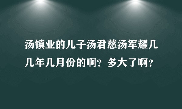 汤镇业的儿子汤君慈汤军耀几几年几月份的啊？多大了啊？