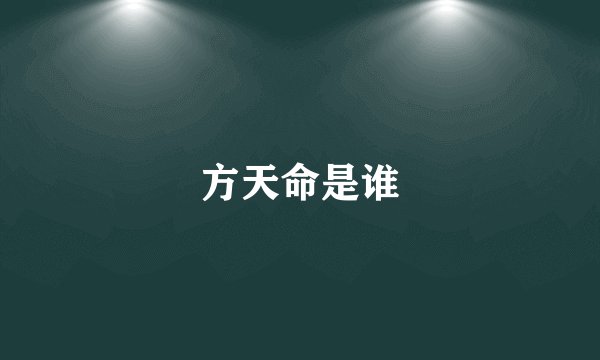 方天命是谁