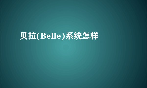 贝拉(Belle)系统怎样