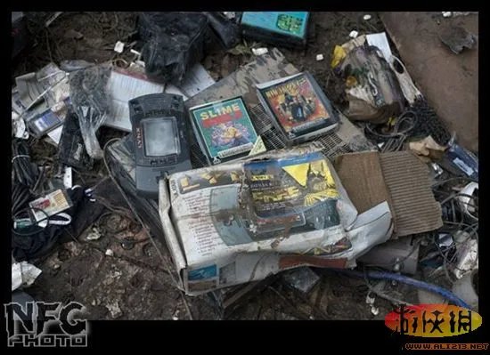 百年洪水来袭 澳洲玩家藏品惨遭洪水蹂躏(图)