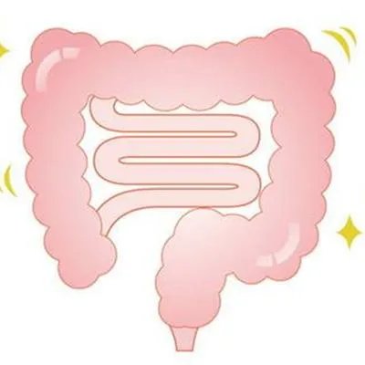 直肠脱垂是怎么回事?