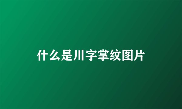 什么是川字掌纹图片