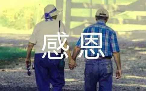 学会感恩作文600字