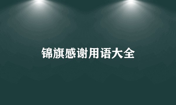 锦旗感谢用语大全
