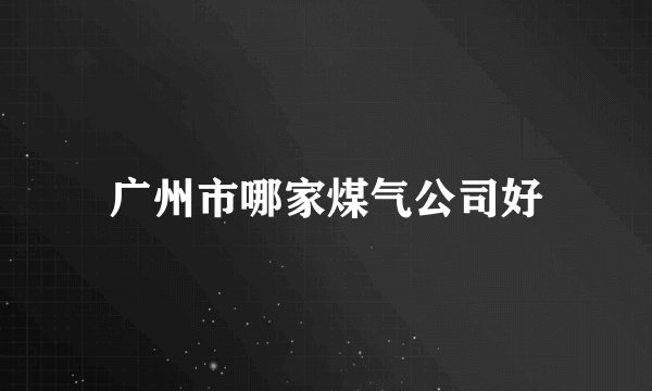 广州市哪家煤气公司好