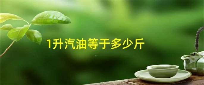 1升汽油等于多少斤