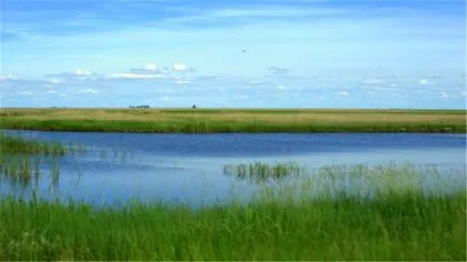 湿地六大特征是什么