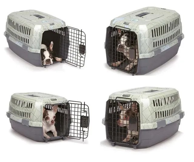 网曝东航又一金毛托运惨死，宠物托运为什么会频出事故？