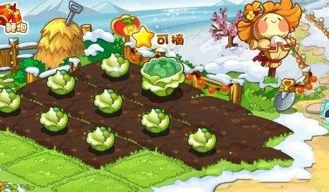 洛克王国木条哪里获得？